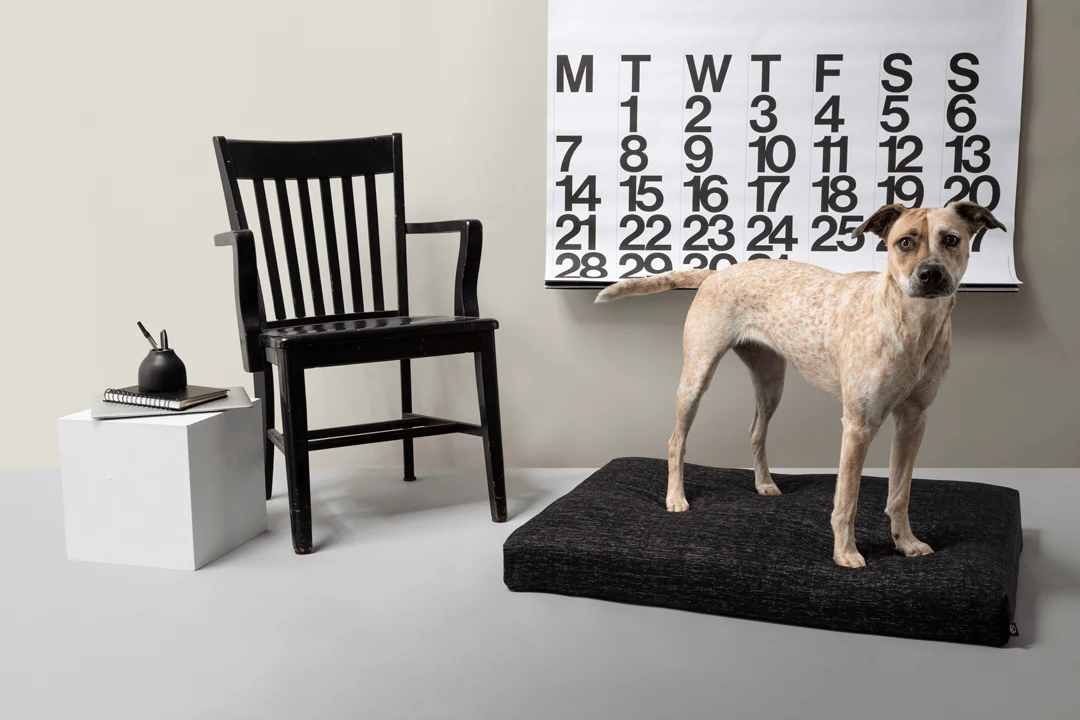 Black Dog Bed | Modern Dog Bed or Bed Cover - Image 3