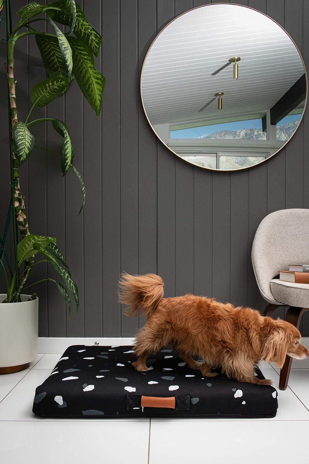 Black Terrazzo | Mid-Century Modern Dog Bed or Bed Cover - Image 4