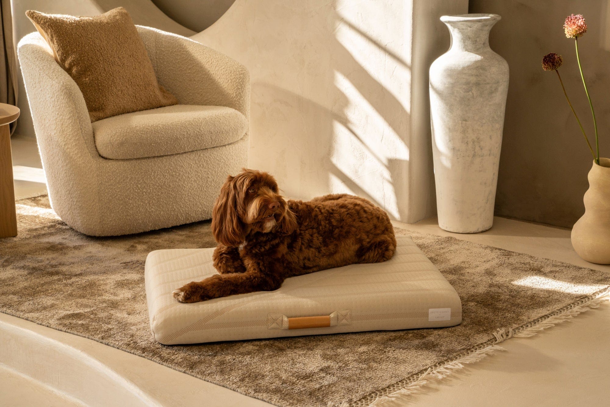 Brigette Romanek | Cream Dog Bed or Bed Cover - Image 4