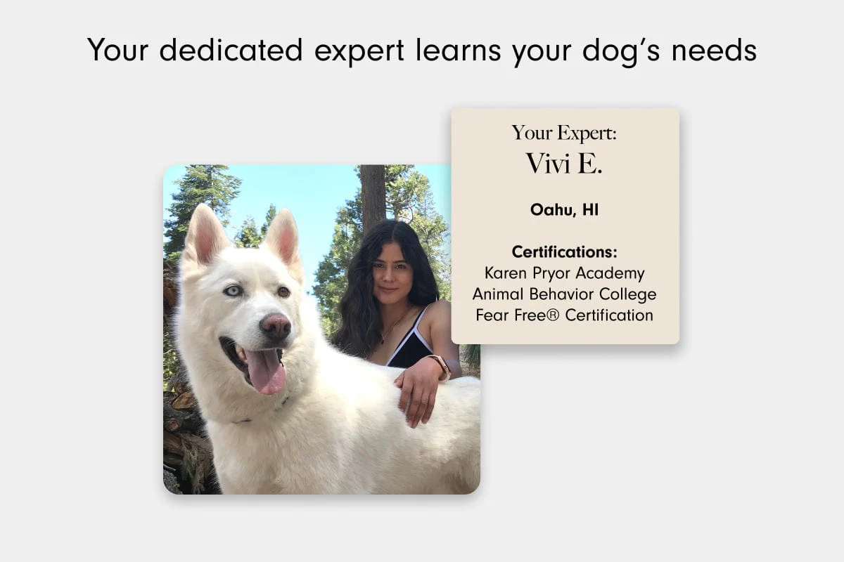 Homeschool by LAY LO: Introductory Virtual Training Session - Image 5