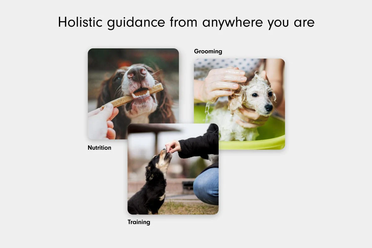 Homeschool by LAY LO: Introductory Virtual Training Session - Image 6