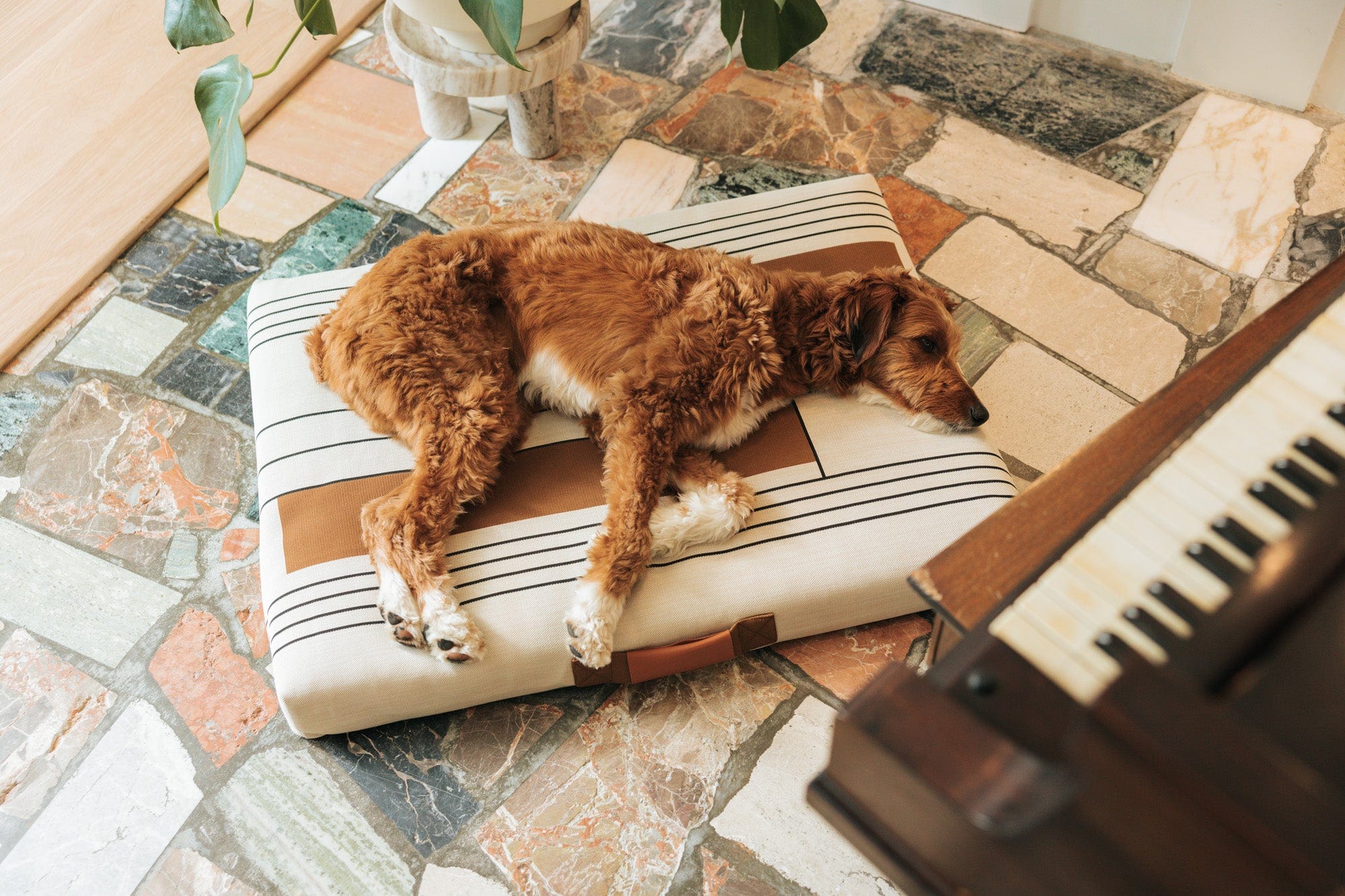 John Legend | Tan Geometric Dog Bed or Bed Cover - Image 3