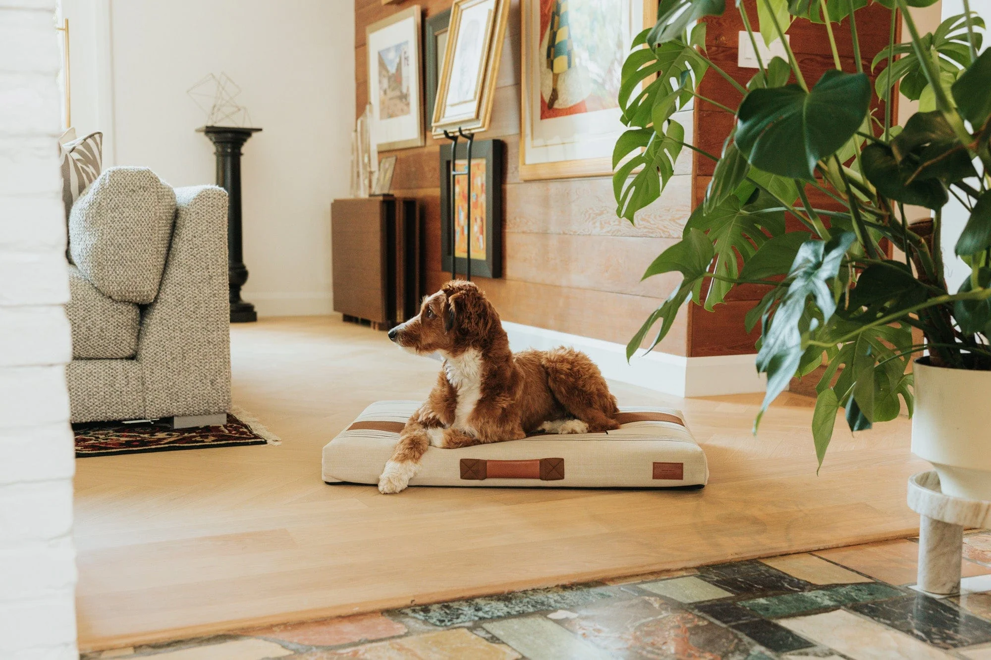 John Legend | Tan Geometric Dog Bed or Bed Cover - Image 4
