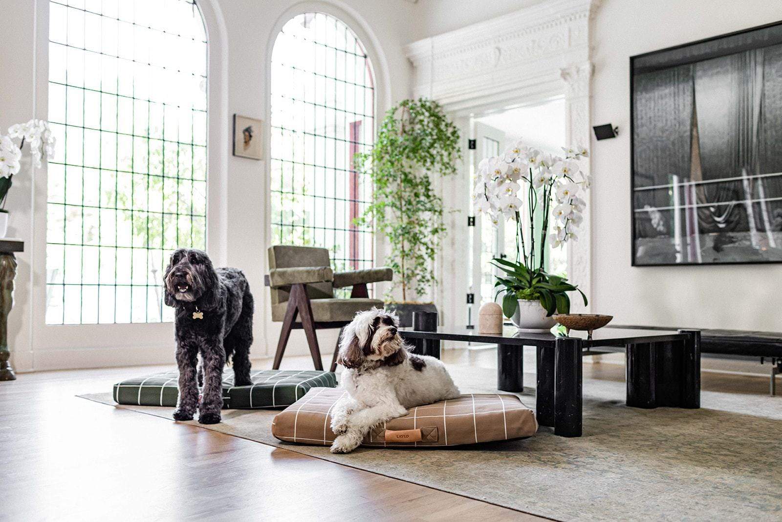 Tan Grid | Dog Bed or Bed Cover - Image 6