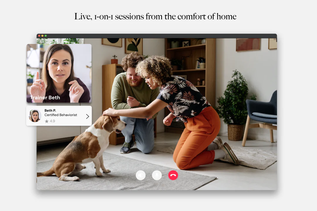 LAY LO Sessions: Dog Nutrition Assessment - Image 5