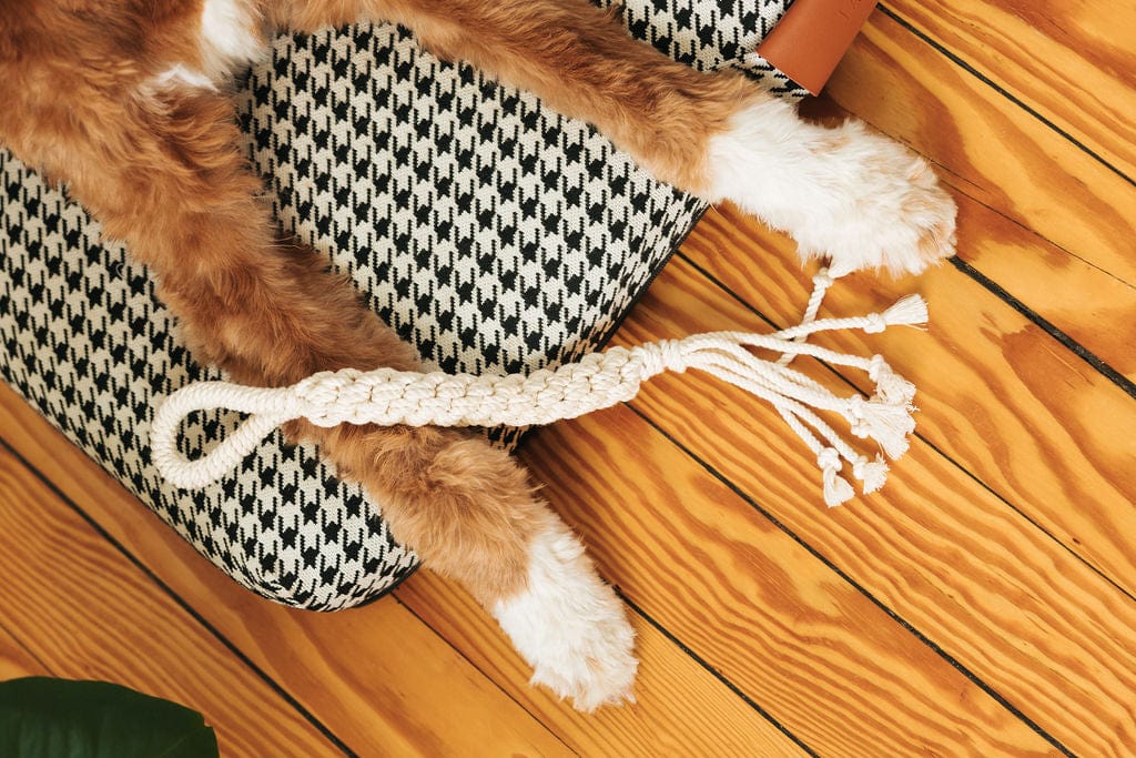 Macrame Rope Dog Toys: 2-Pack - Image 7