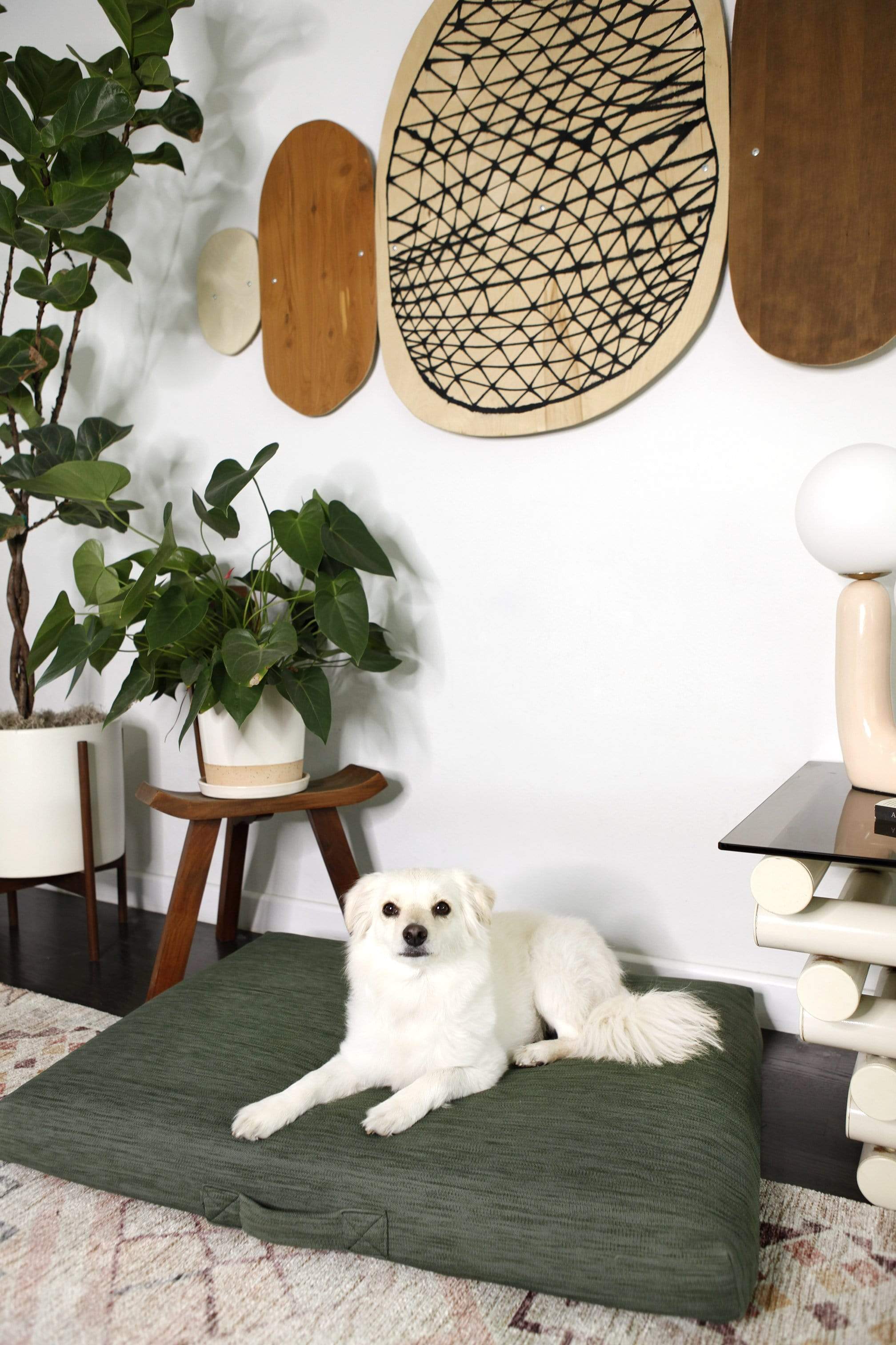 Sage | Modern Dog Bed or Bed Cover - Image 3