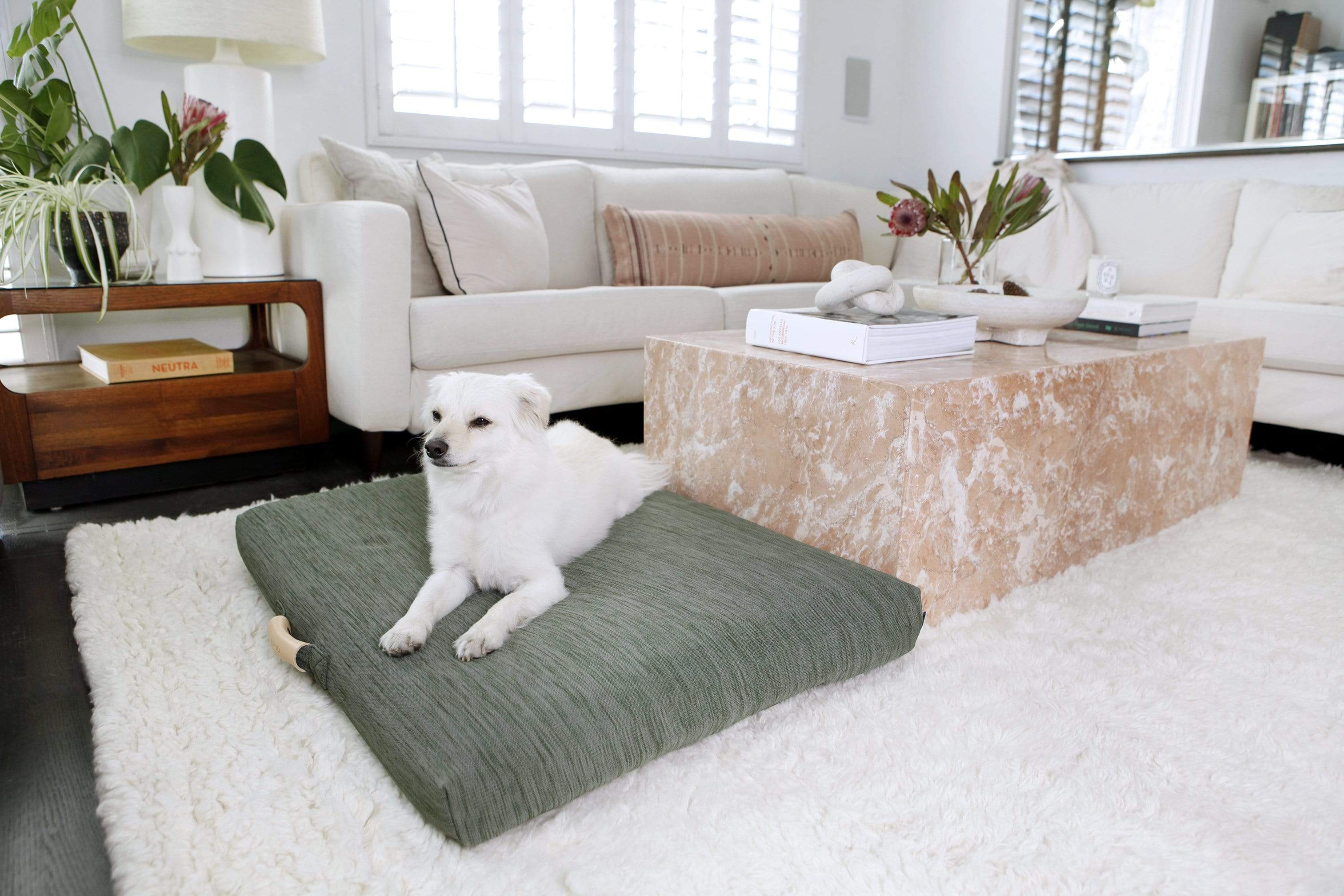 Sage | Modern Dog Bed or Bed Cover - Image 5