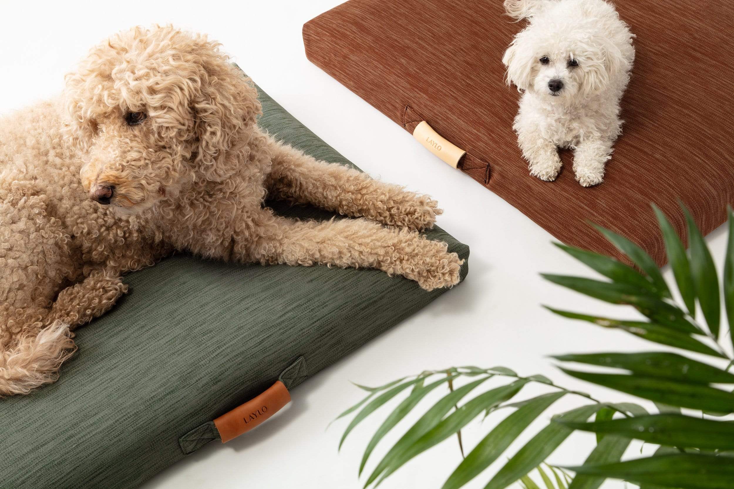 Sage | Modern Dog Bed or Bed Cover - Image 6