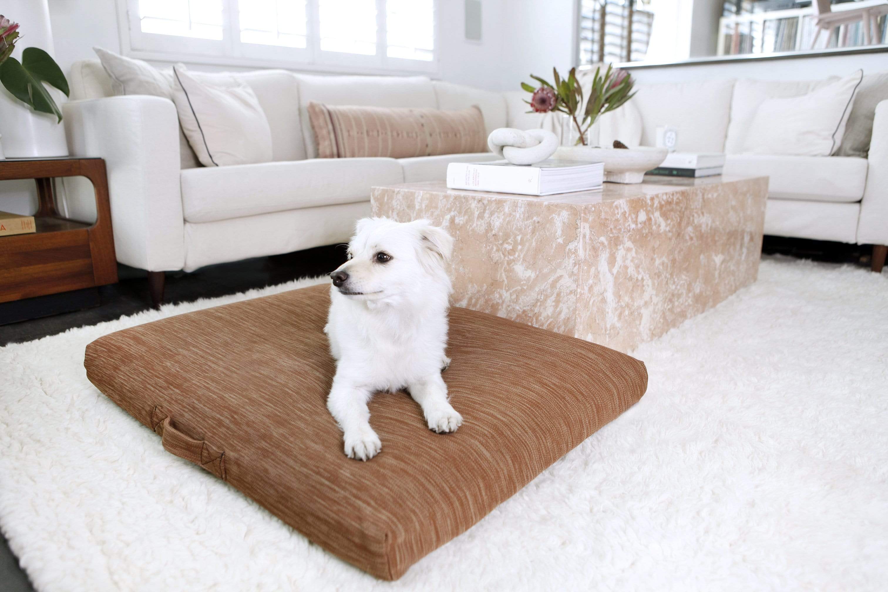 Terra | Modern Dog Bed or Bed Cover - Image 5