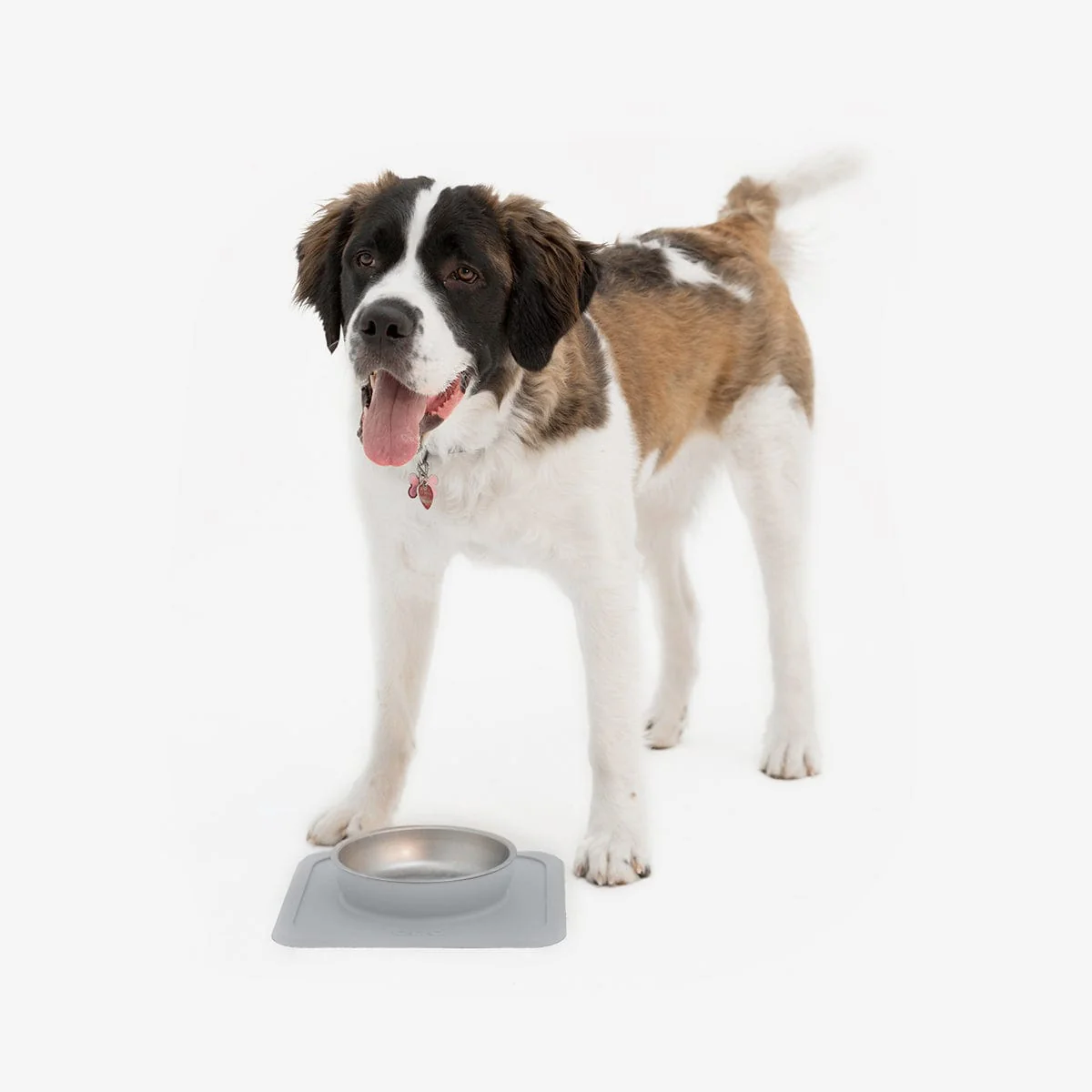 The Great Bowl (32oz Single) by Ono - Image 14