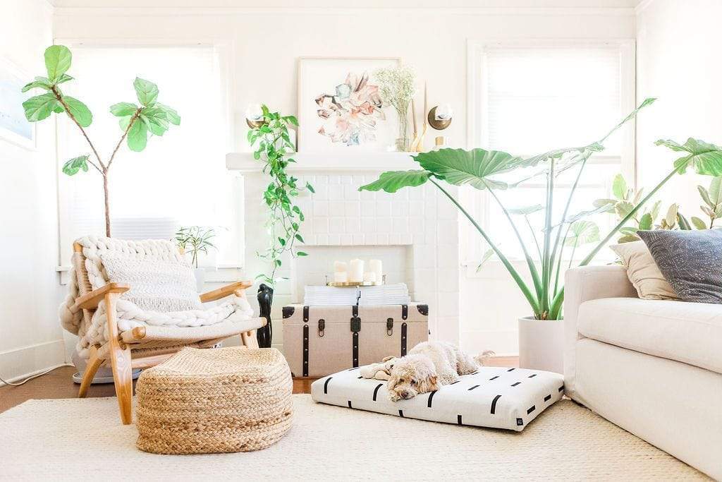 White Rain | Boho Dog Bed or Bed Cover - Image 4