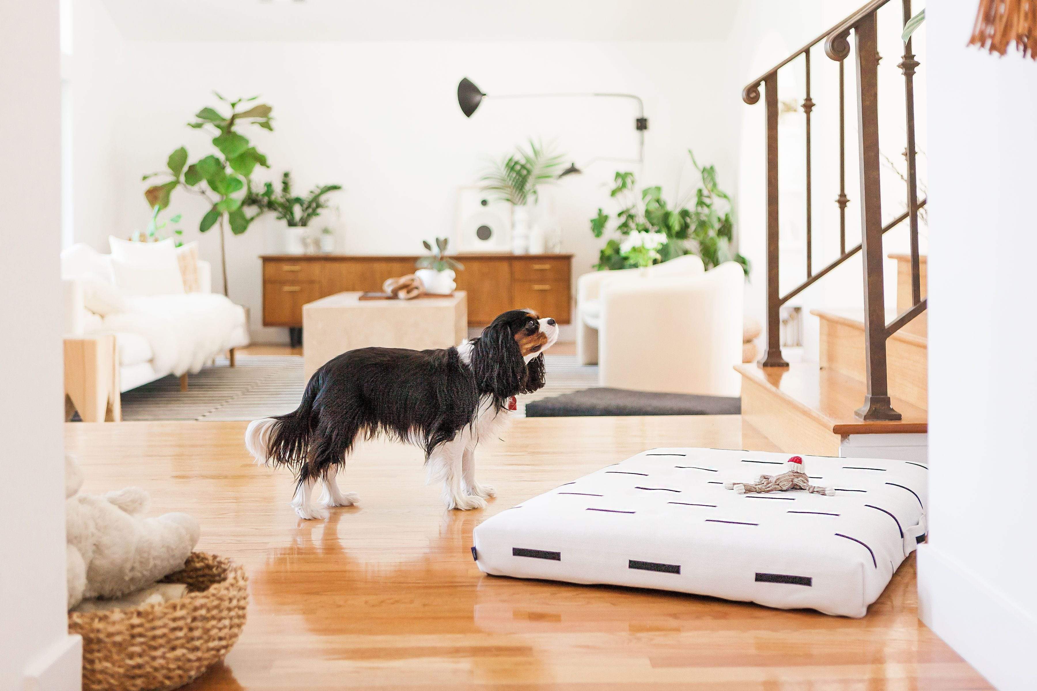 White Rain | Boho Dog Bed or Bed Cover - Image 8